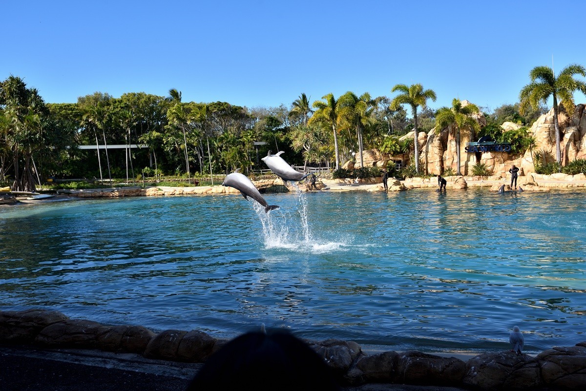 澳大利亚的黄金海岸  2 /6