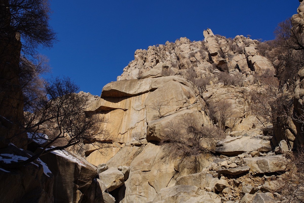 春天的贺兰山里！