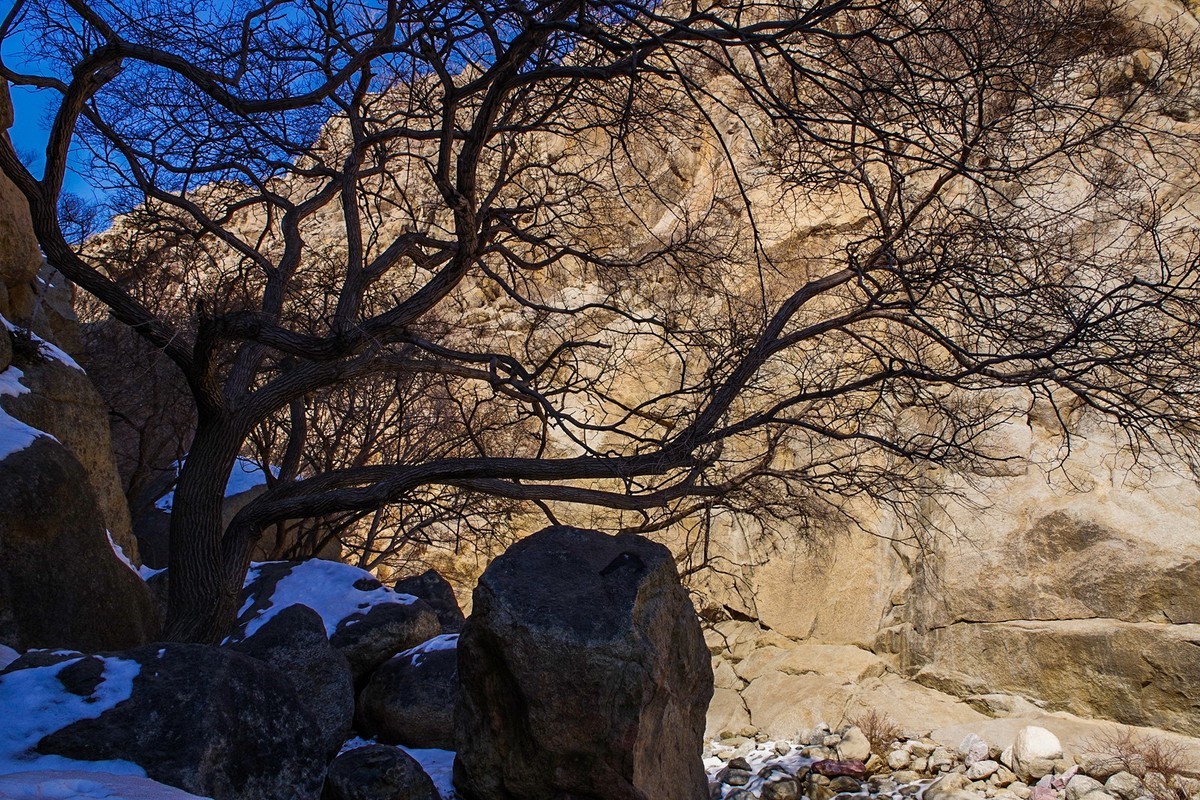 春天的贺兰山里！