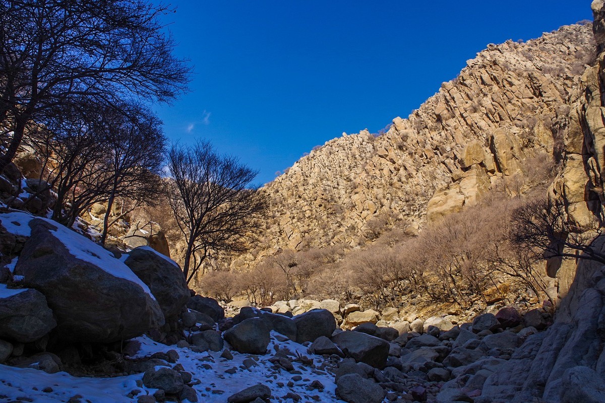 春天的贺兰山里！