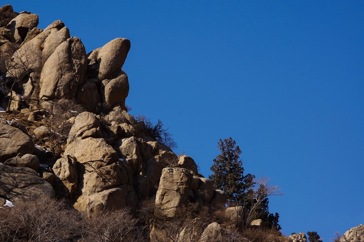 春天的贺兰山里！
