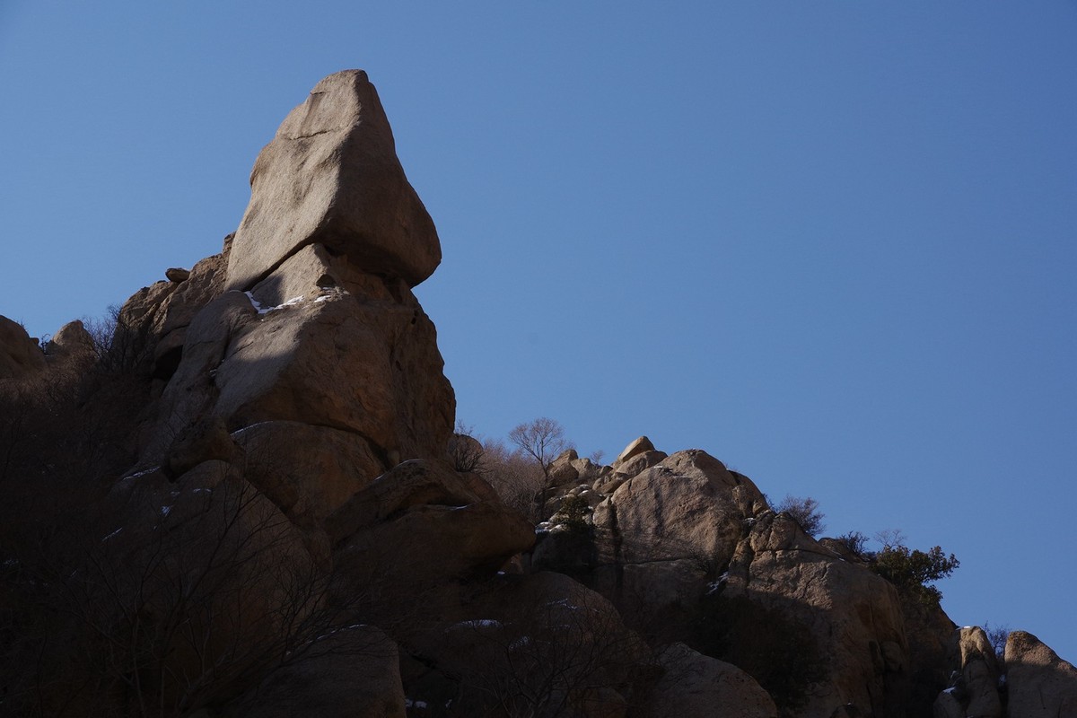 春天的贺兰山里！