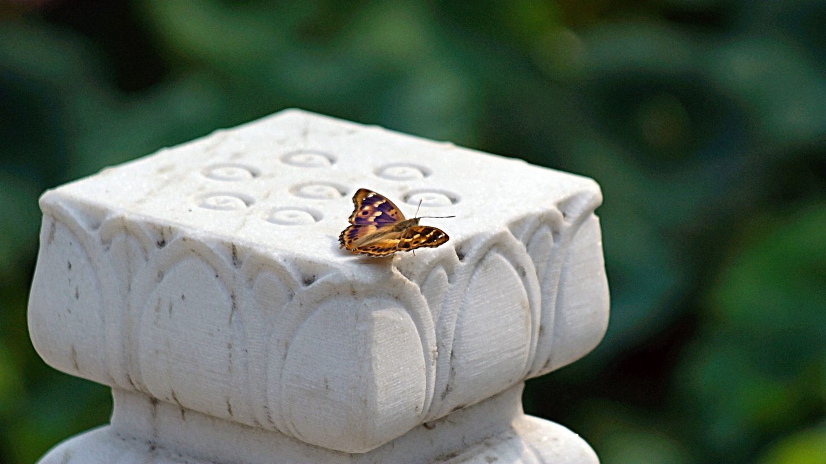 这个帖子怎么违禁了？