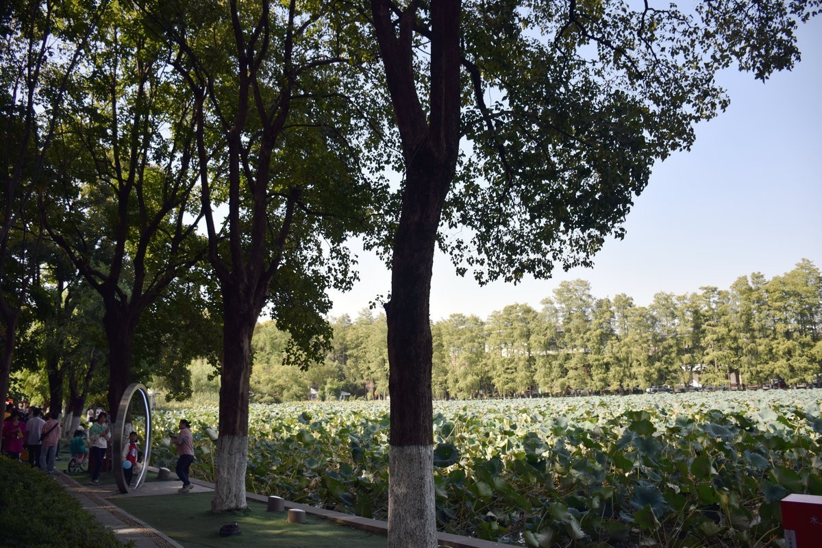 2024秋 江汉行（27）东湖揽胜