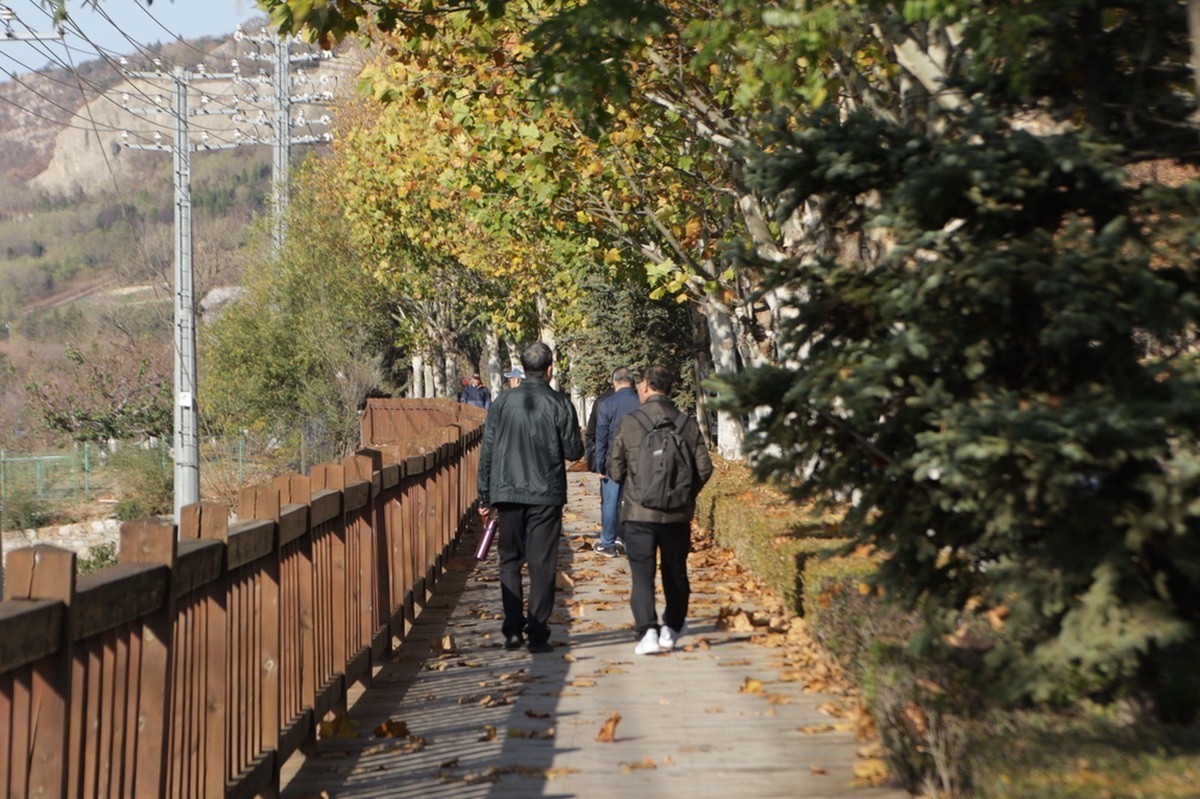 滨城游拍——西郊棠梨湖公园（2024-1）