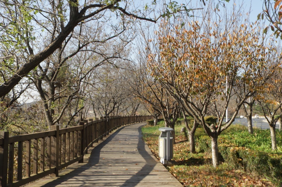 滨城游拍——西郊棠梨湖公园（2024-1）