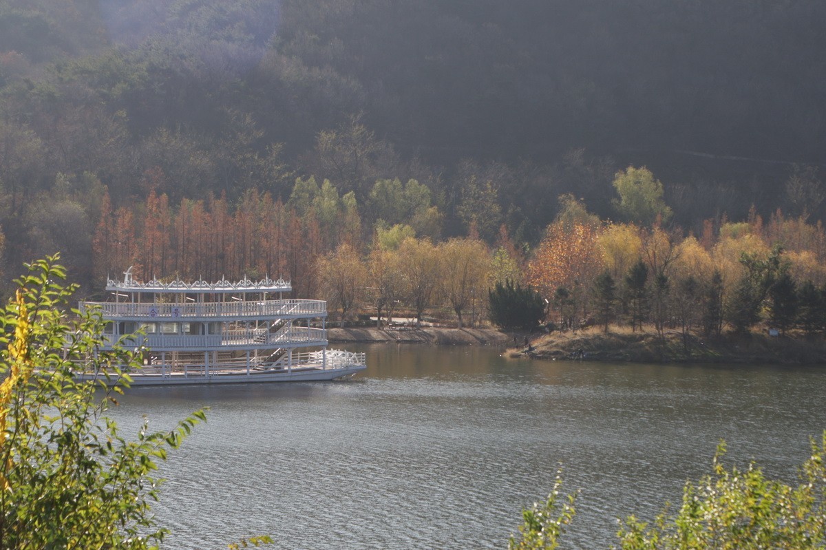 滨城游拍——西郊棠梨湖公园（2024-1）