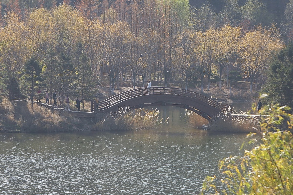 滨城游拍——西郊棠梨湖公园（2024-1）