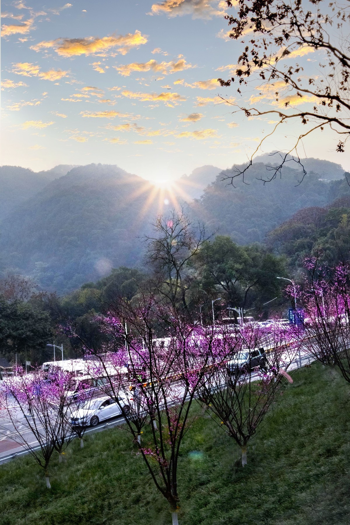 春天在呼唤