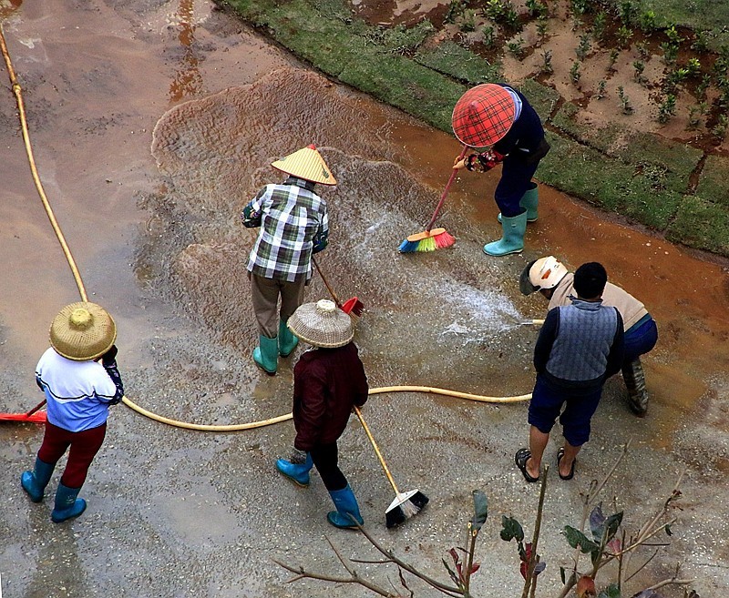 840【不老松：海南游摄纪实】临高长島兰湾二期九栋绿化全过程！[04]