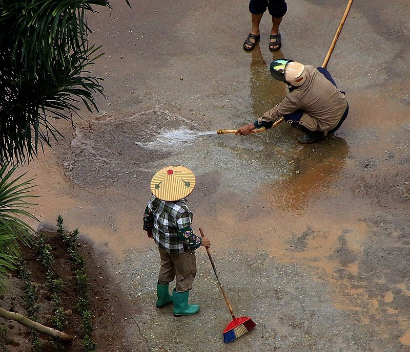840【不老松：海南游摄纪实】临高长島兰湾二期九栋绿化全过程！[04]