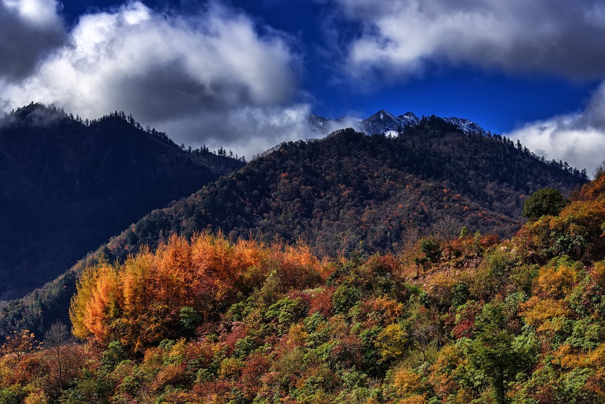 #留住美丽秋天#  2018. 10. 夹金山下 · 硗碛藏乡