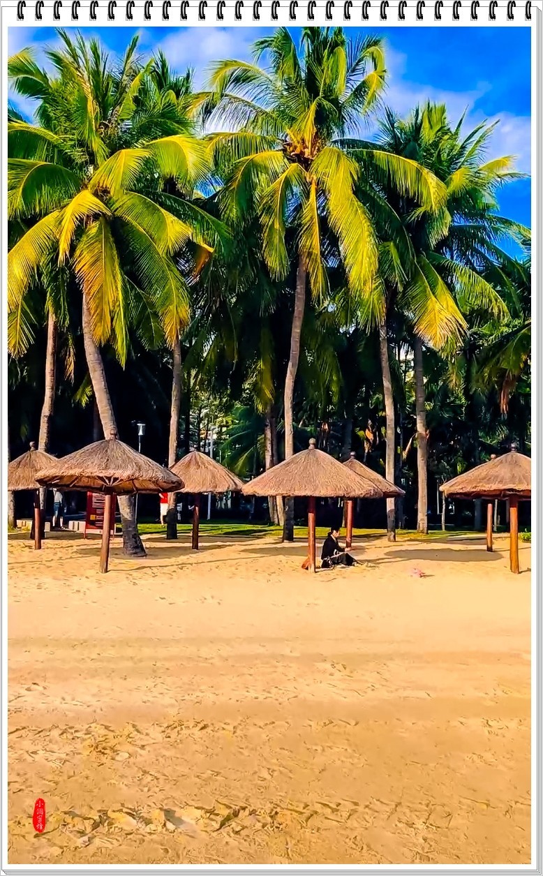 2022年海南岛抓拍-58