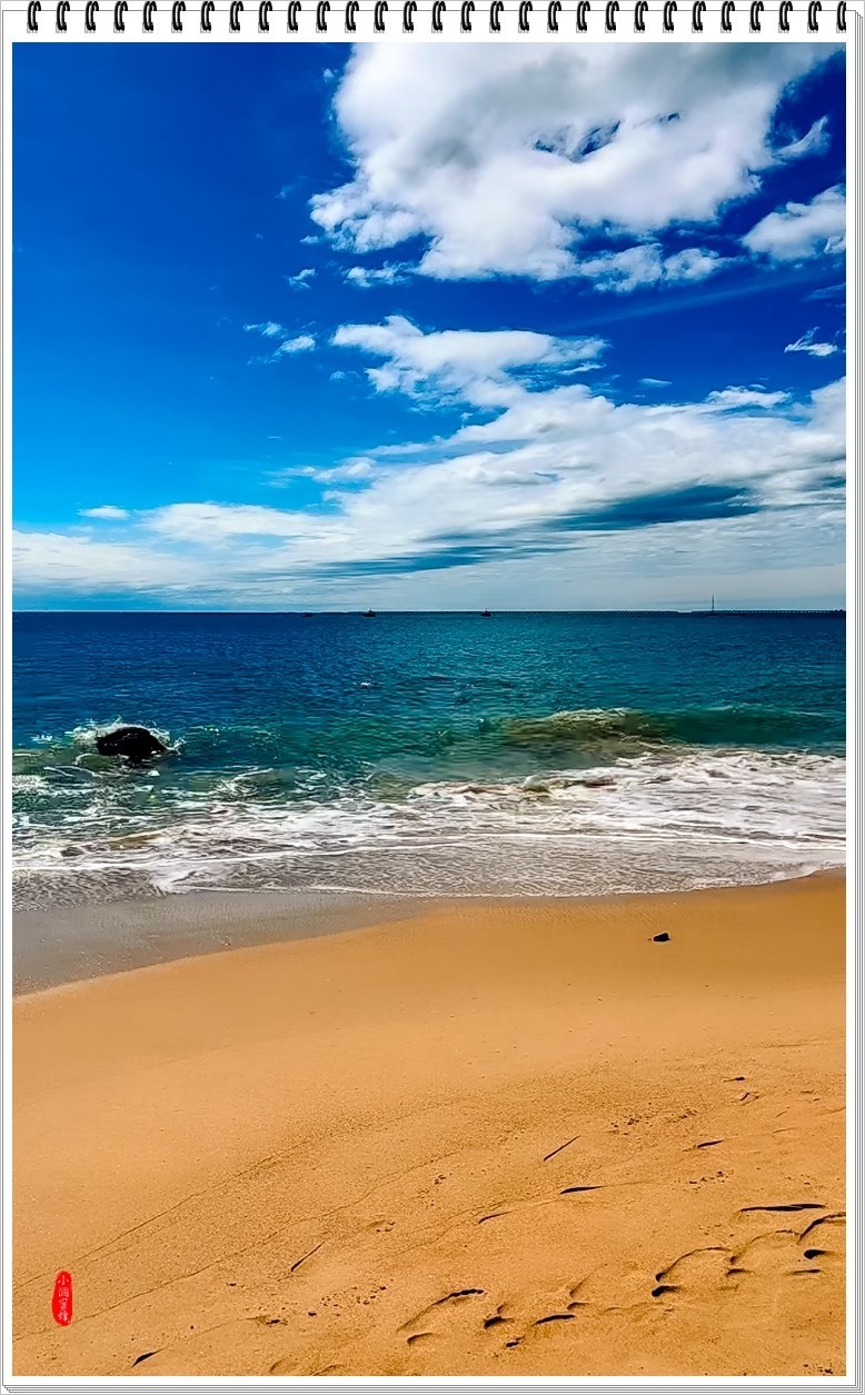 2022年海南岛抓拍-58