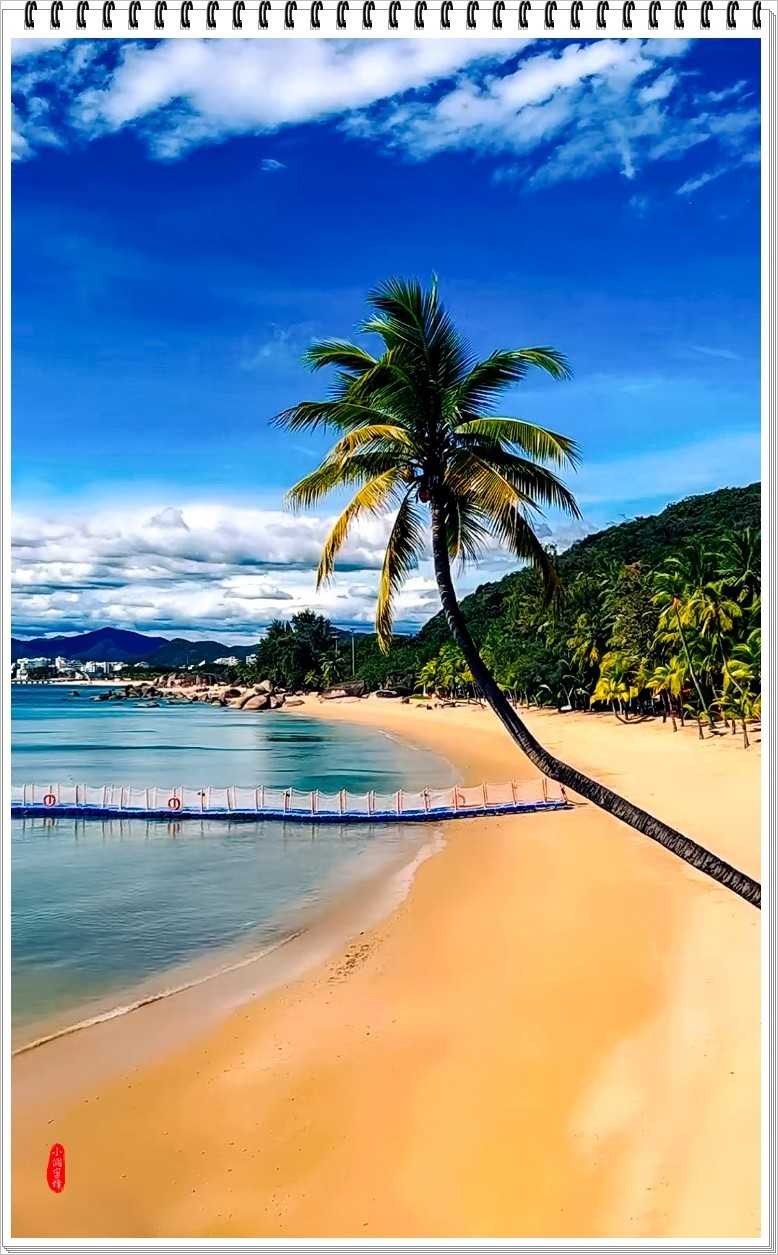 2022年海南岛抓拍-58