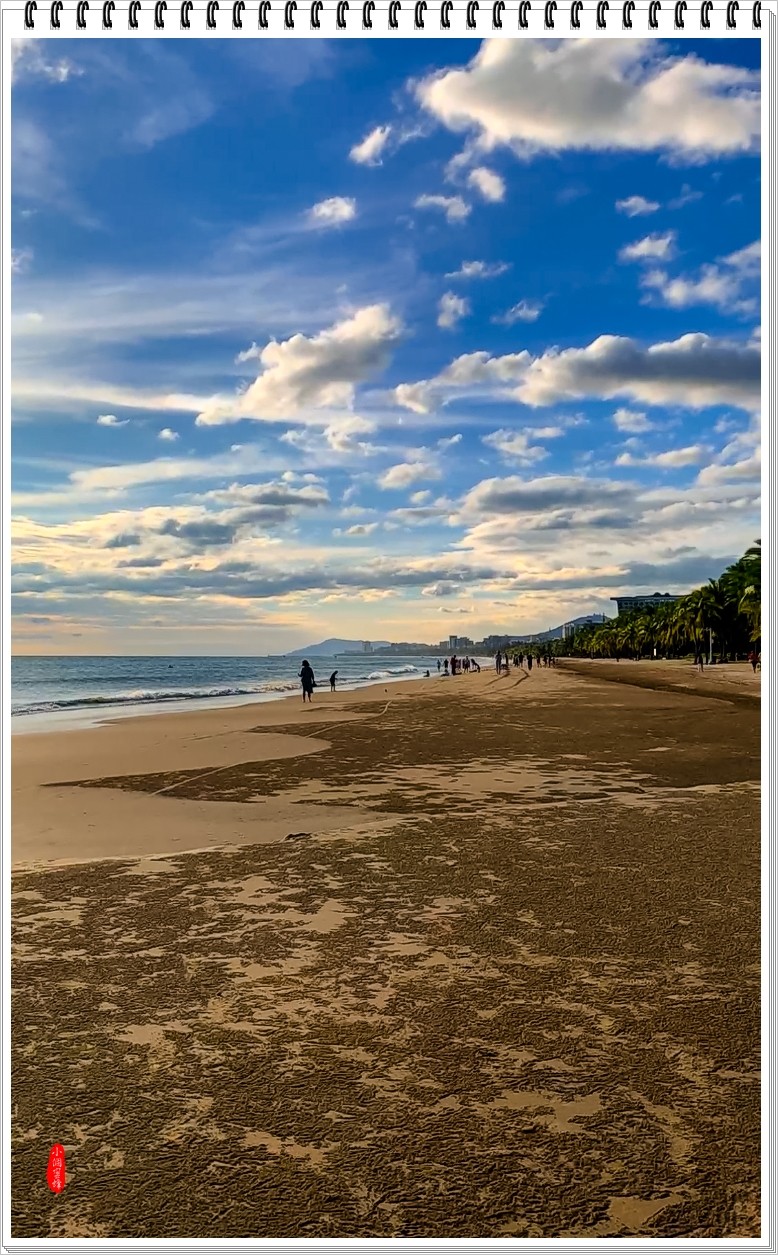 2022年海南岛抓拍-58