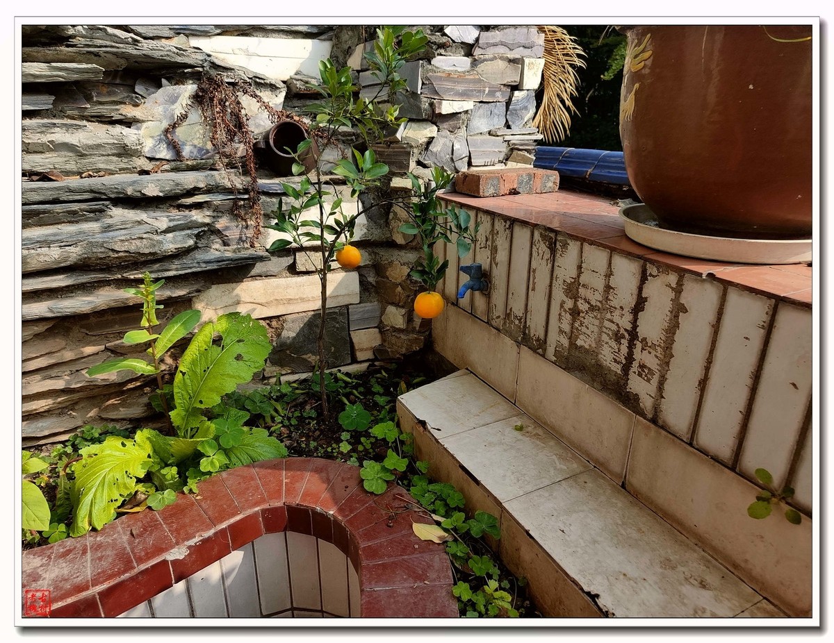 疫情冲击下的市民百态(16)