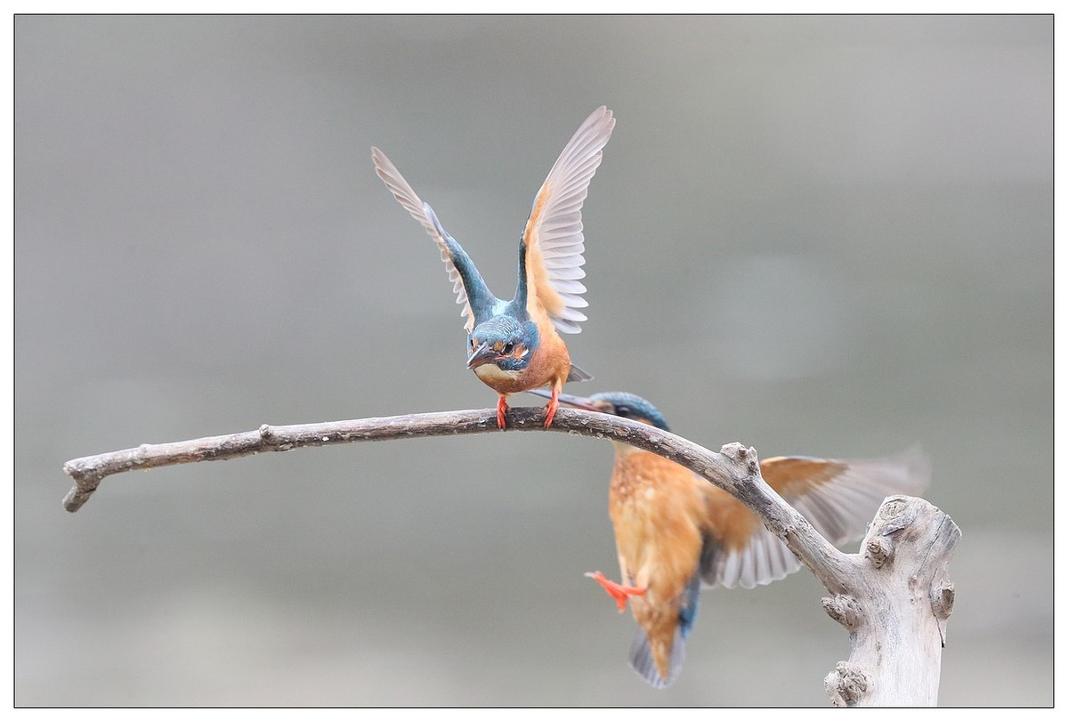 元宵节  情窦初开的小翠