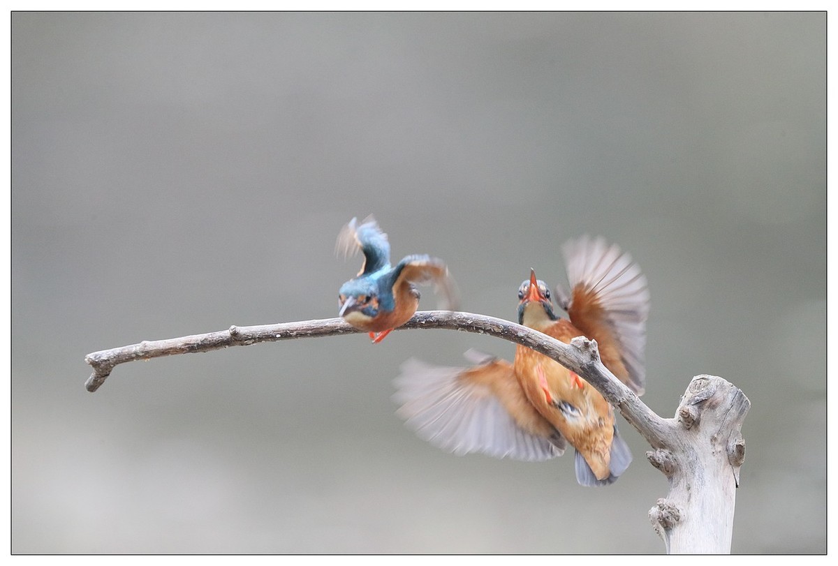 元宵节  情窦初开的小翠