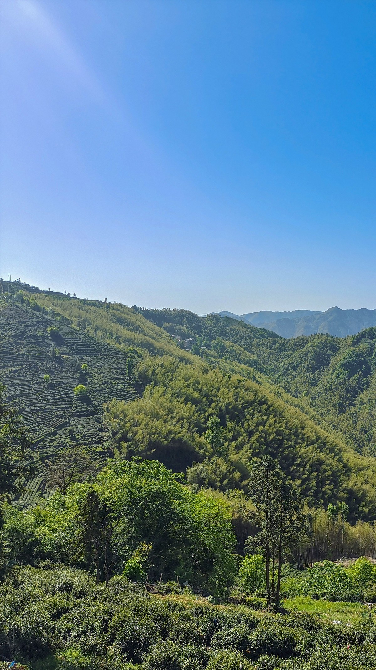 安顶山【富阳半日游】