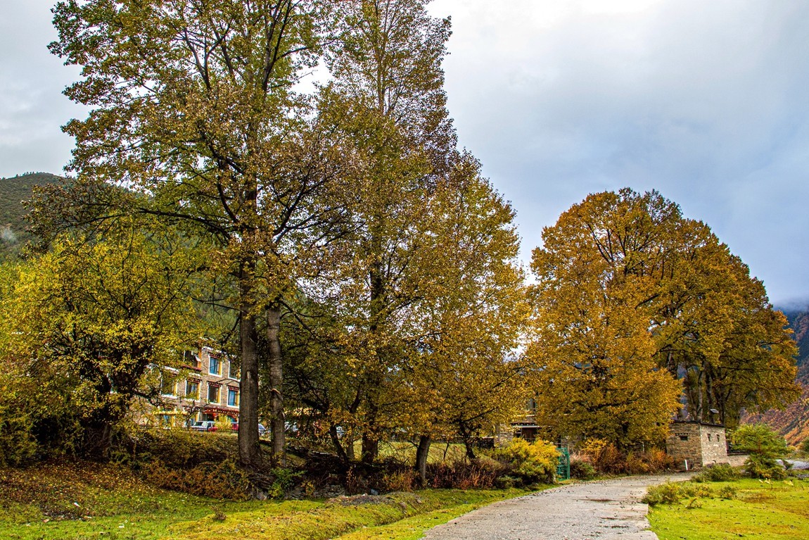 秋行川西高原--日头村【3】