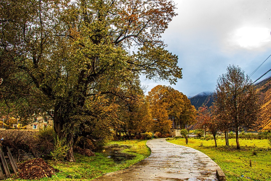 秋行川西高原--日头村【3】