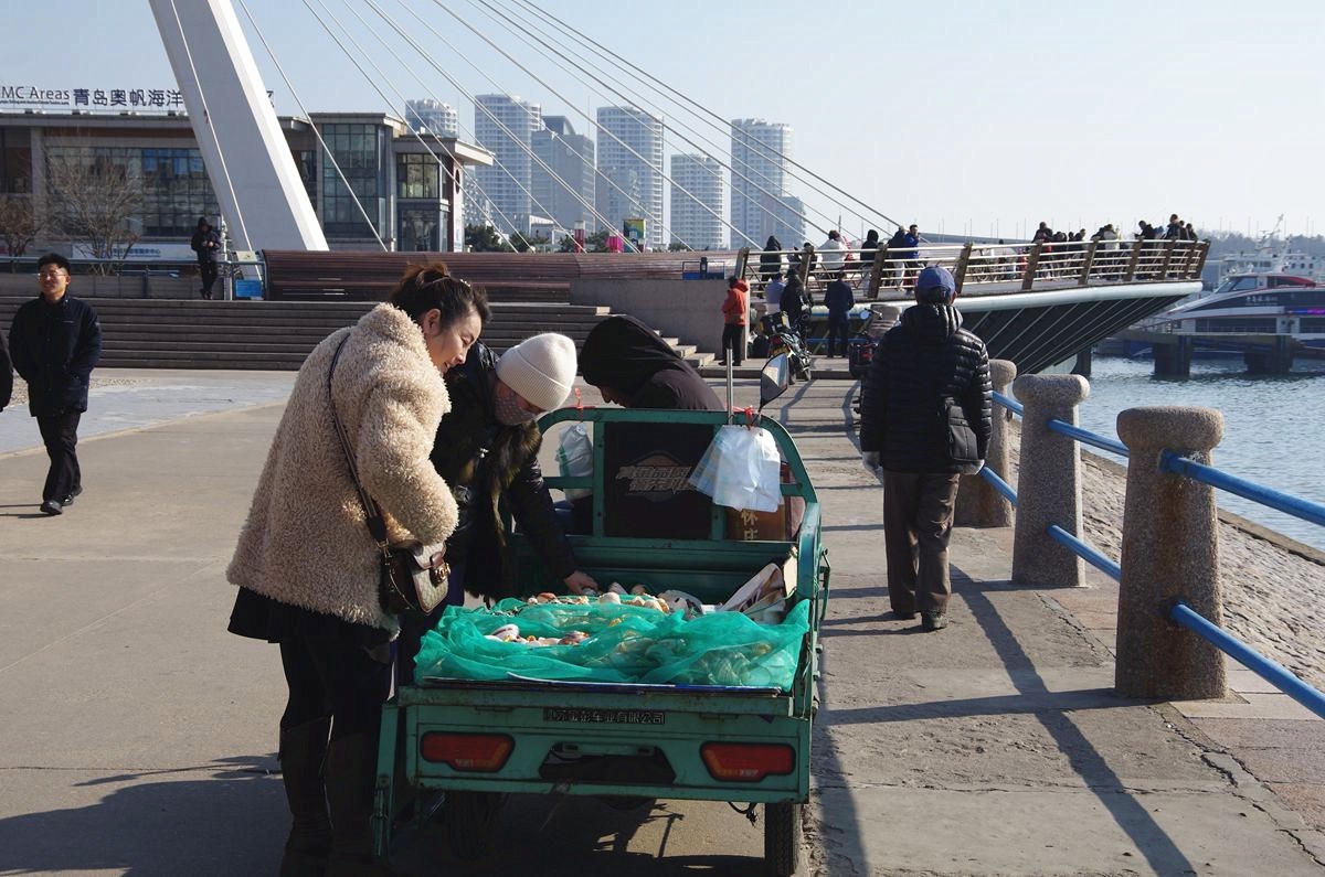 青岛奥帆海洋文化旅游区-续