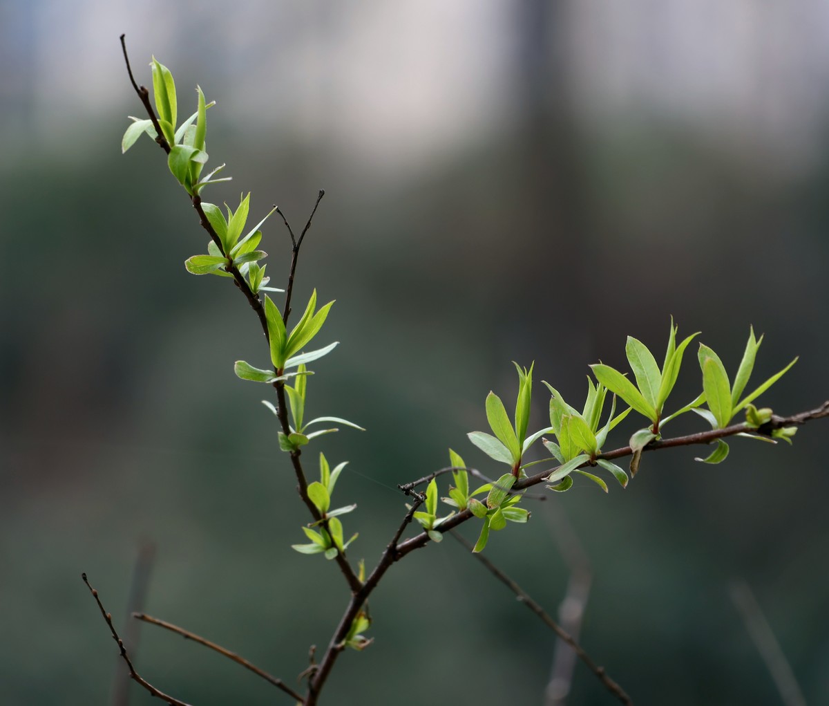 R10换R7，18-150套头试拍