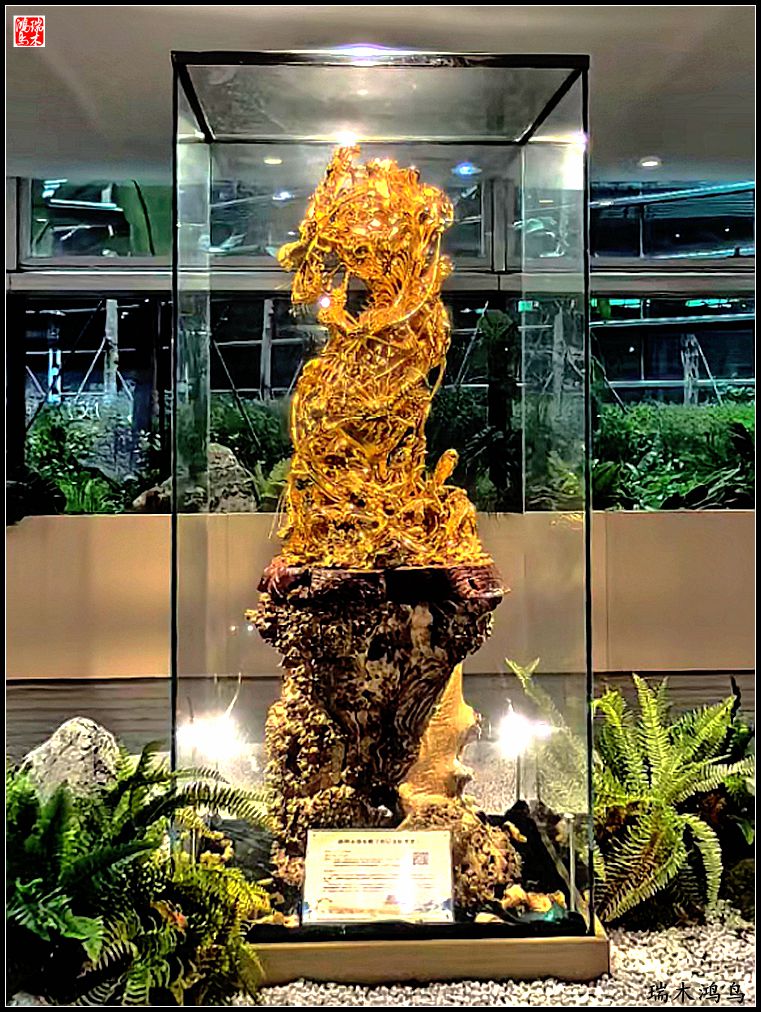 【印象潮汕】2.二月二龙抬头，一不小心到潮州