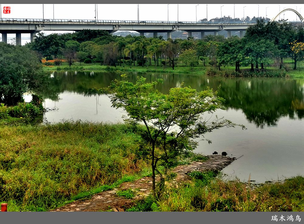 【印象潮汕】2.二月二龙抬头，一不小心到潮州