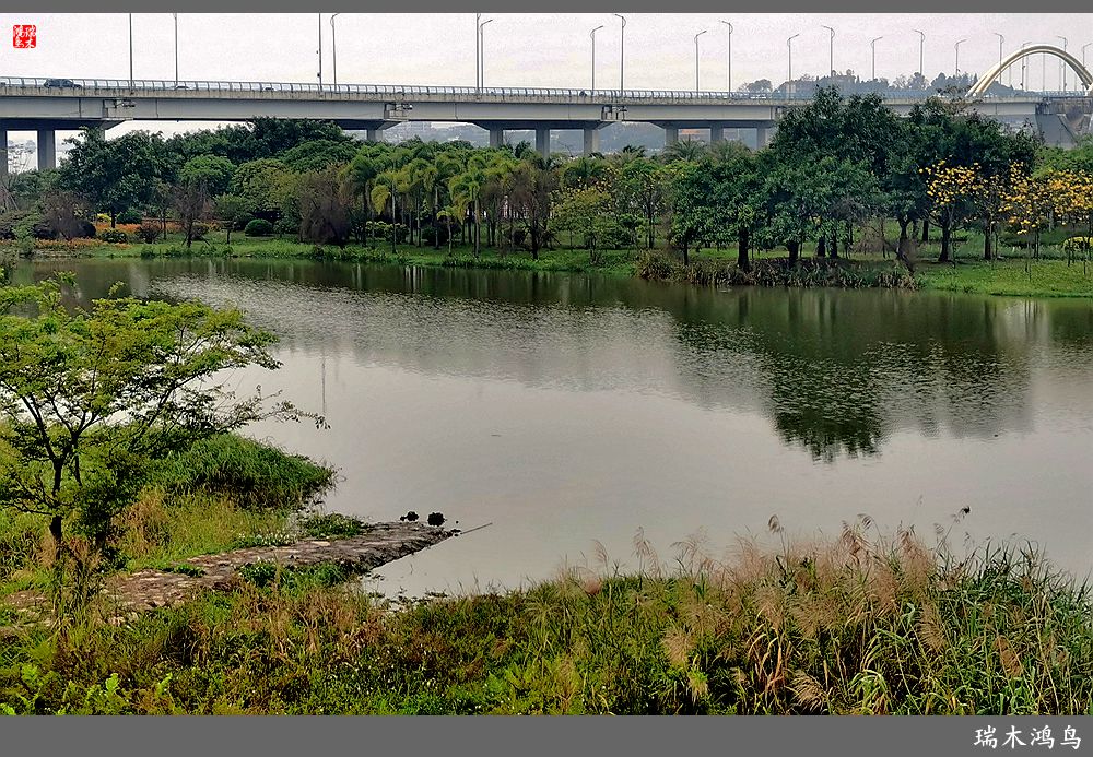 【印象潮汕】2.二月二龙抬头，一不小心到潮州