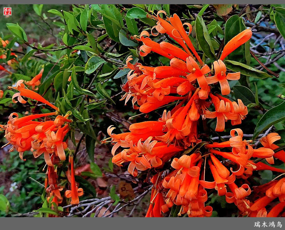 【印象潮汕】2.二月二龙抬头，一不小心到潮州