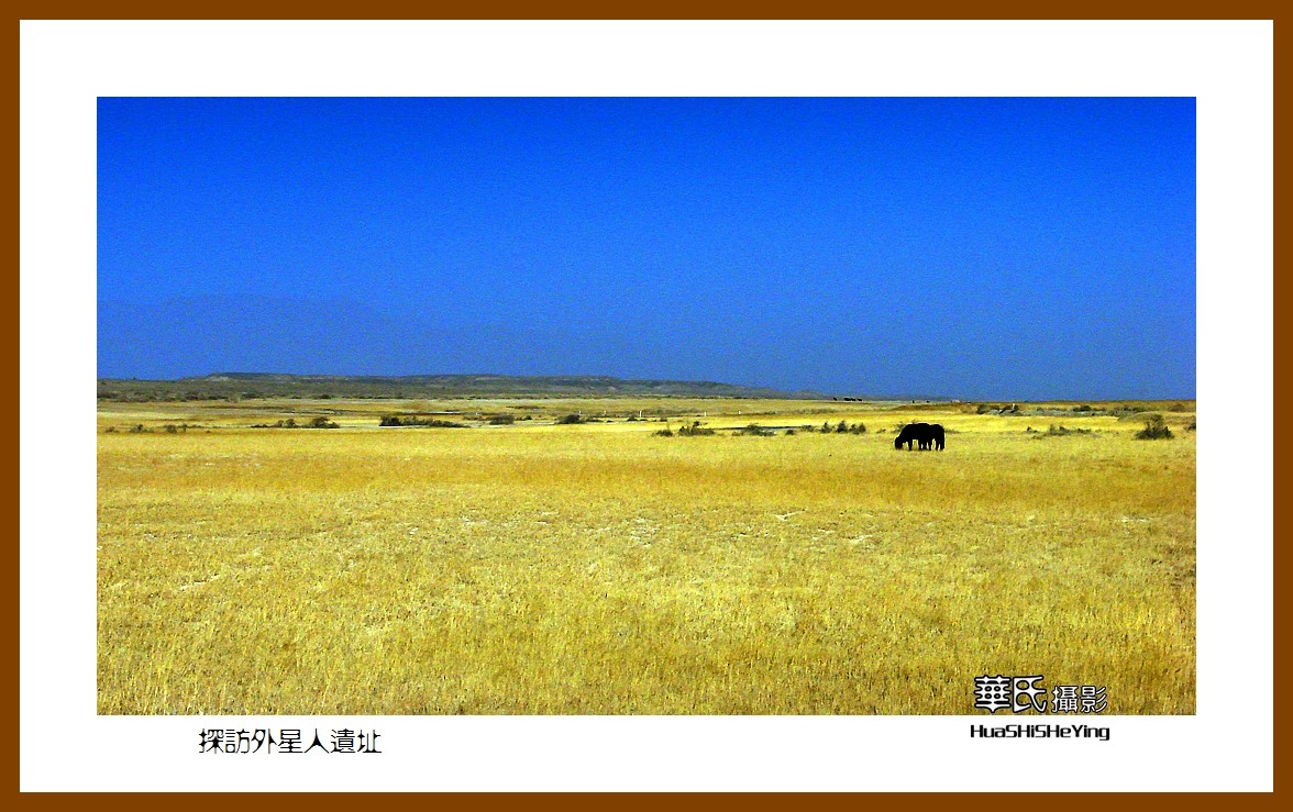 2023西行游记（青海070）—探访外星人遗址（海西州德令哈）