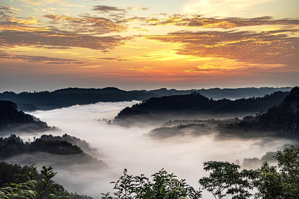 四川威远骑龙坳---晨雾【9】
