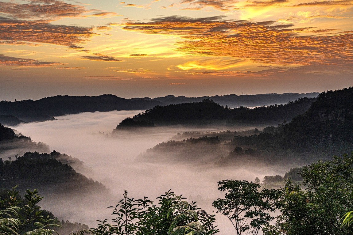 四川威远骑龙坳---晨雾【9】
