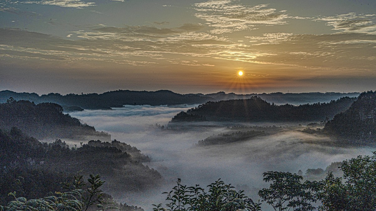 四川威远骑龙坳---晨雾【9】