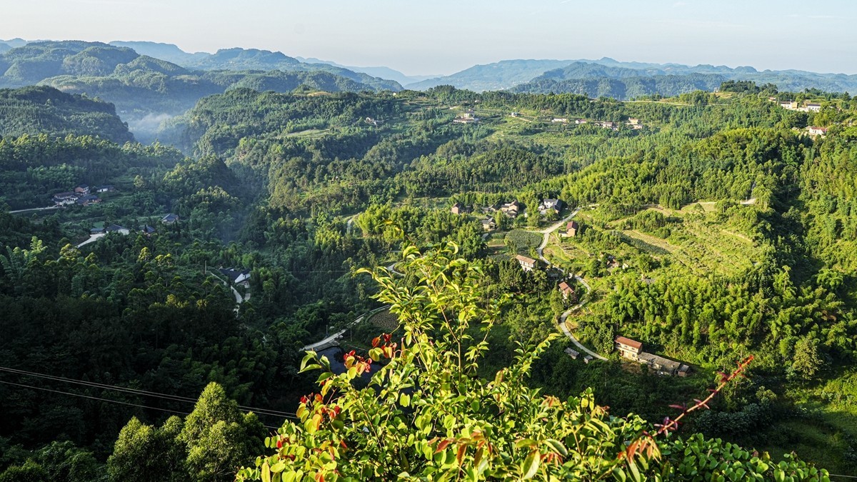 四川威远骑龙坳---晨雾【9】