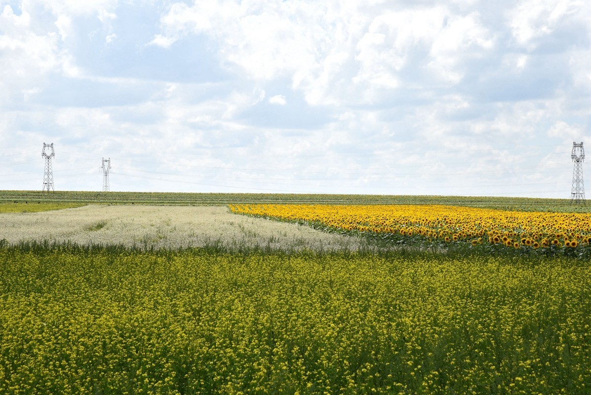 八月，内蒙【7】