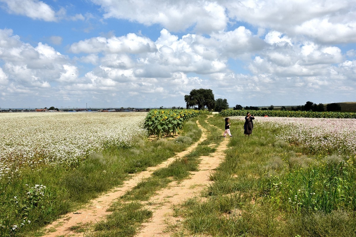 八月，内蒙【7】