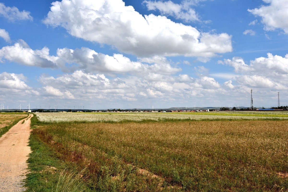 八月，内蒙【7】