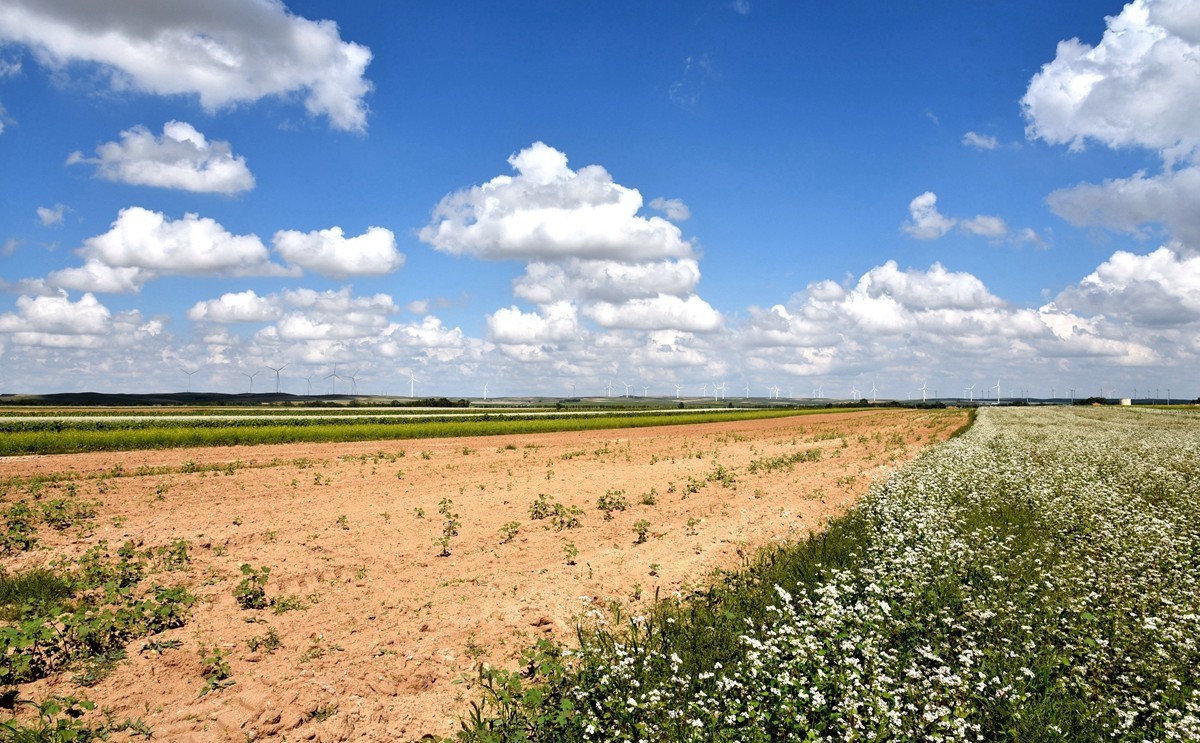 八月，内蒙【7】