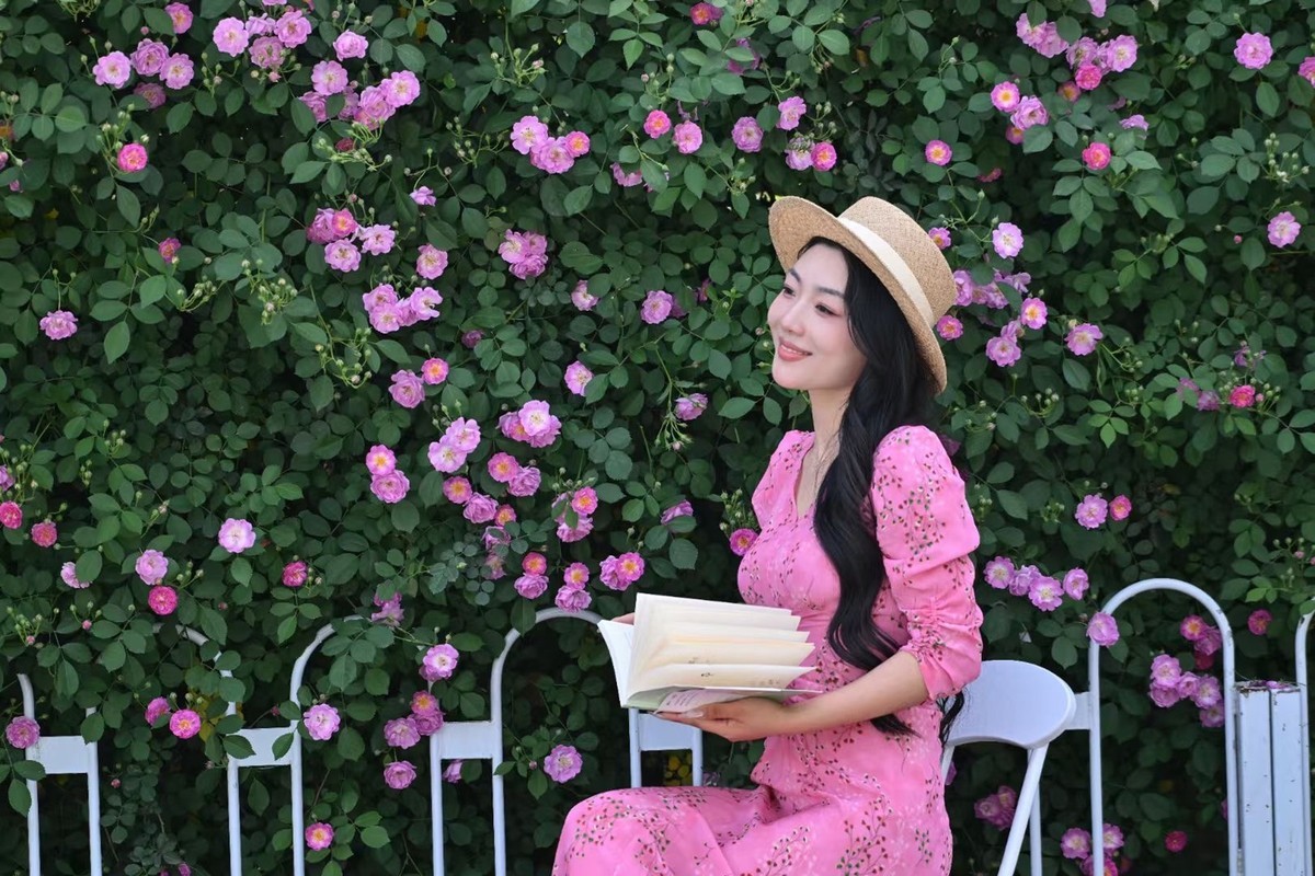 烈士公园啬薇花--1