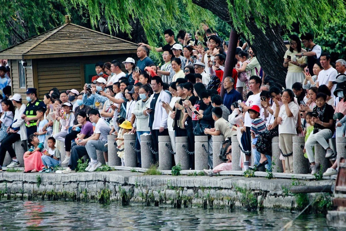 端午——明湖杂拍