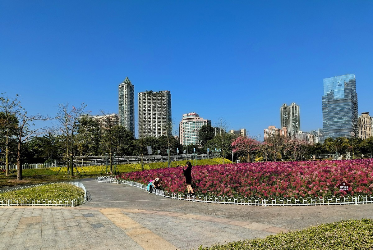初夏的二沙岛。