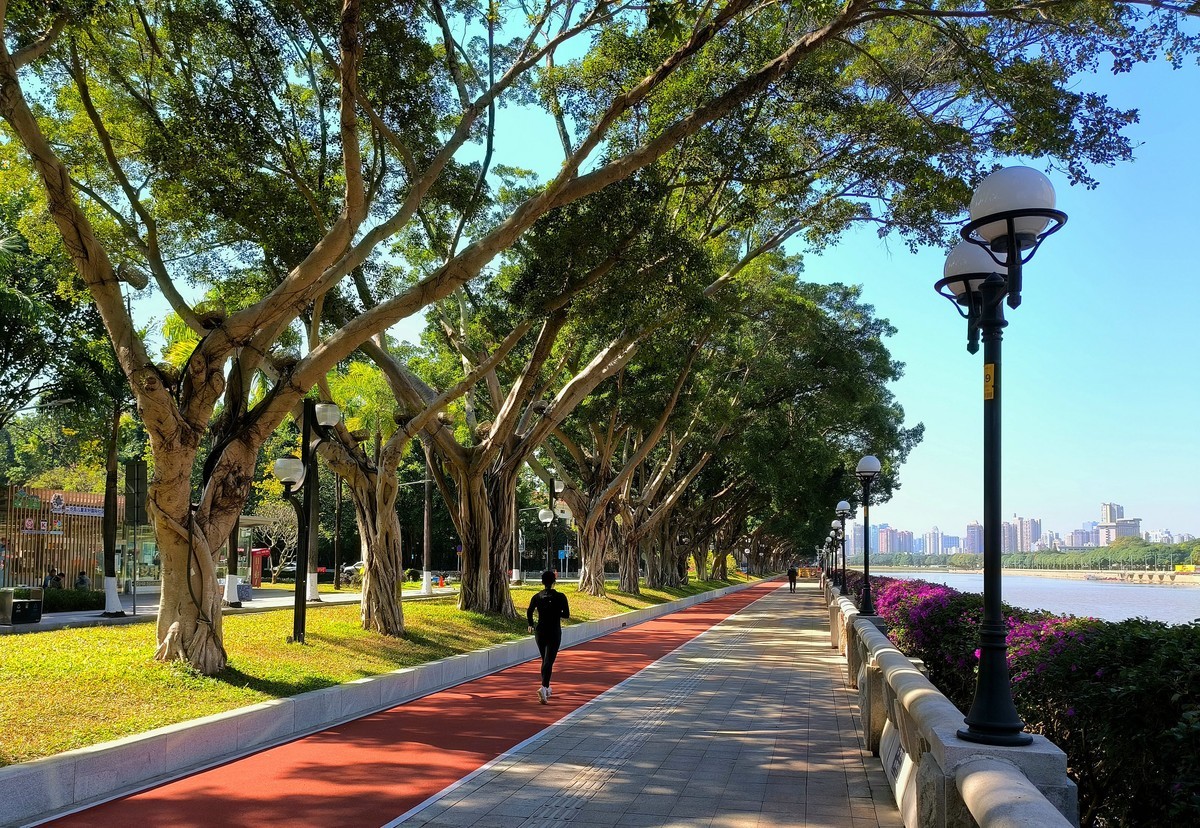 初夏的二沙岛。