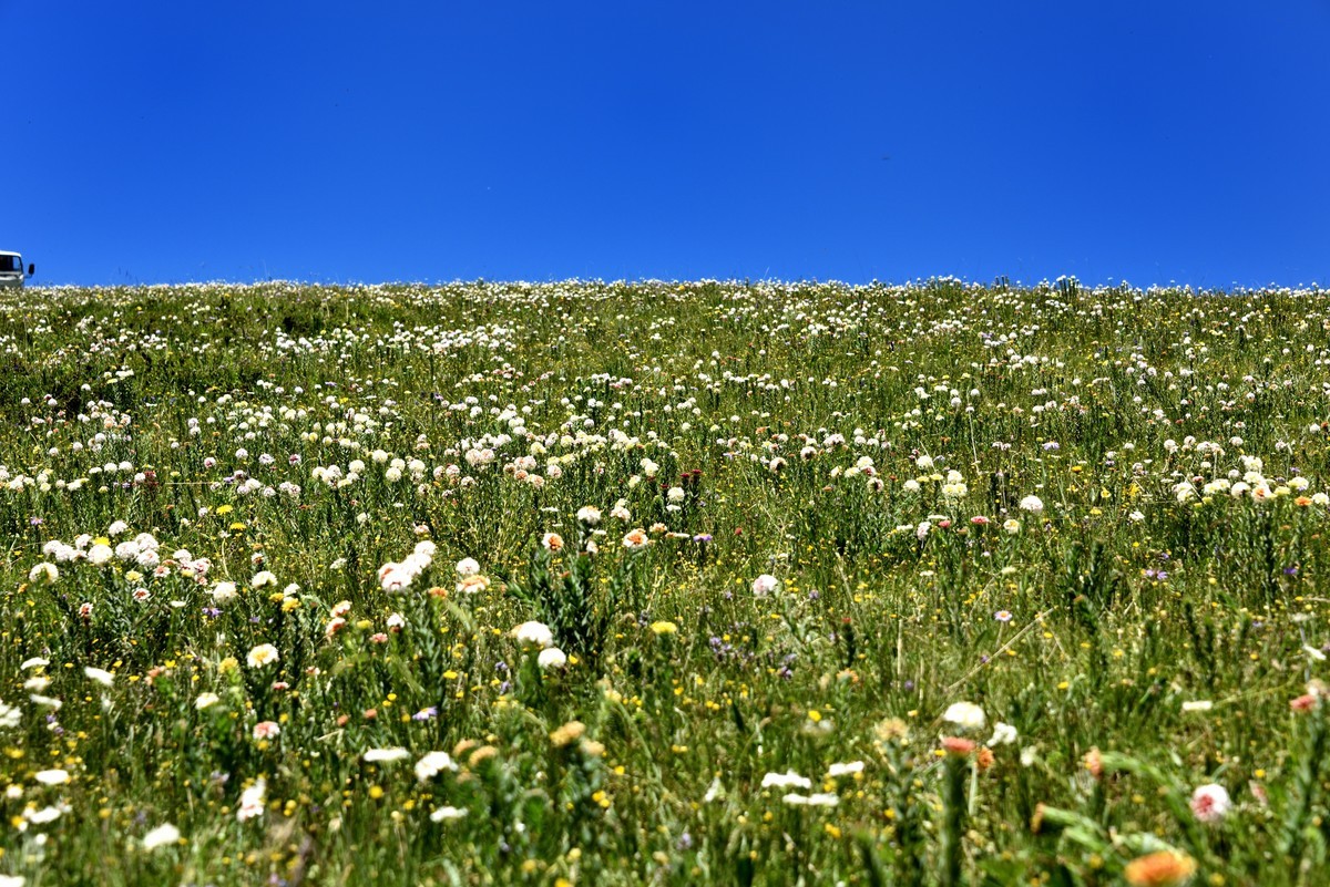 仲夏川北行【6】
