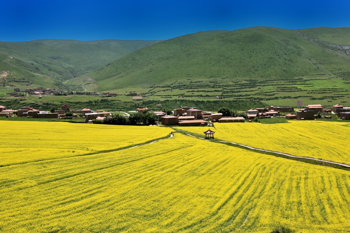 仲夏川北行【6】