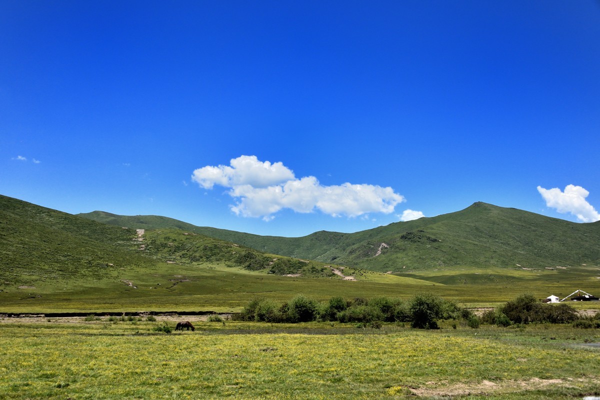 仲夏川北行【6】