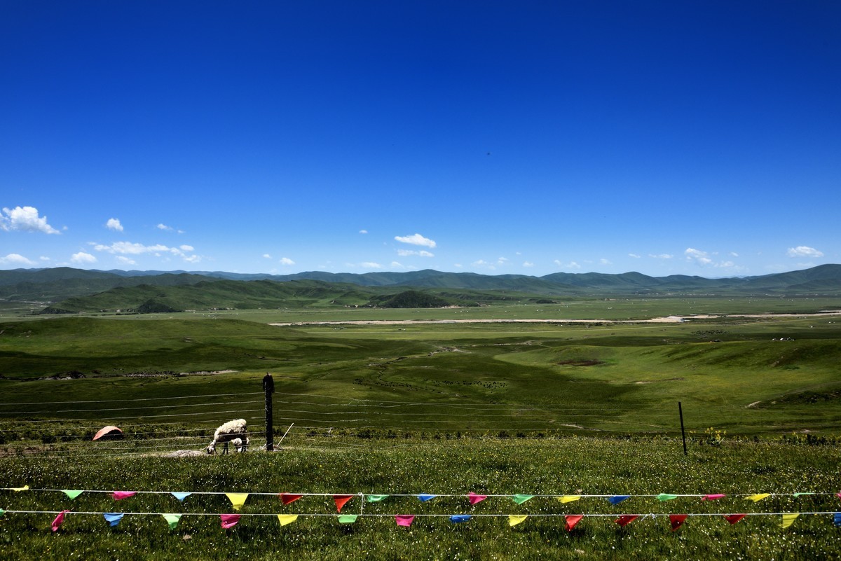 仲夏川北行【6】