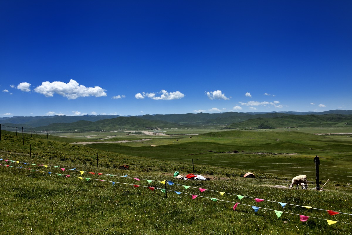 仲夏川北行【6】